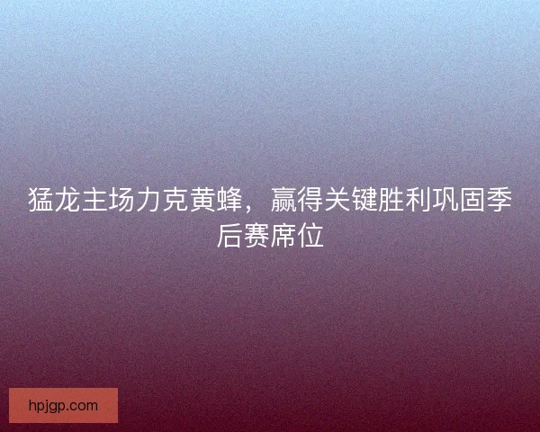 猛龙主场力克黄蜂，赢得关键胜利巩固季后赛席位