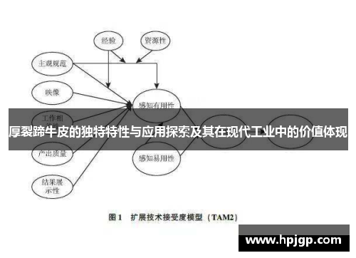 厚裂蹄牛皮的独特特性与应用探索及其在现代工业中的价值体现